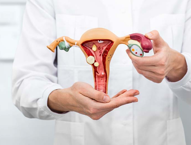 Обследуй свое сердце