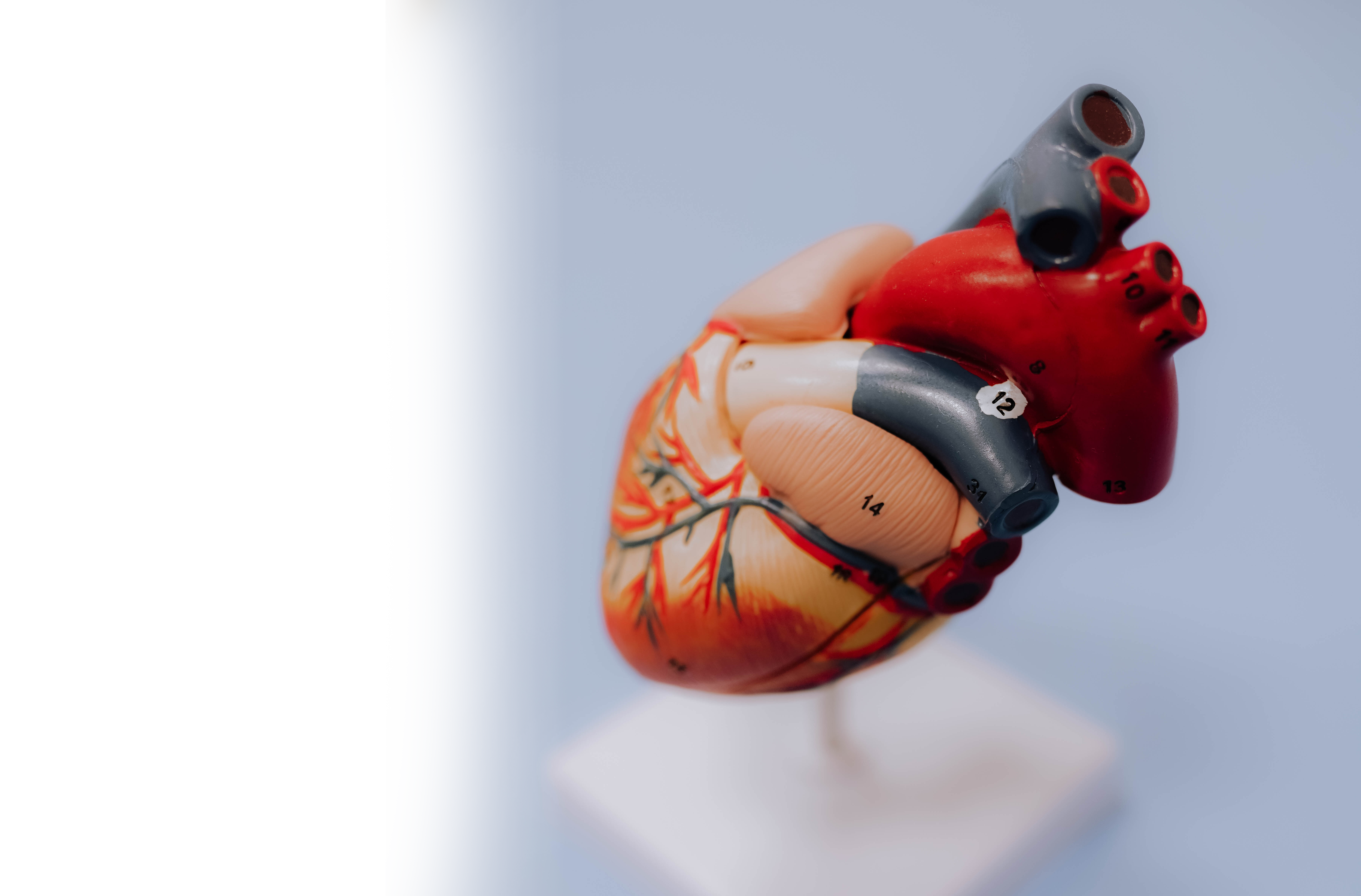 Аритмология