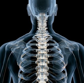 Грудная ламинэктомия