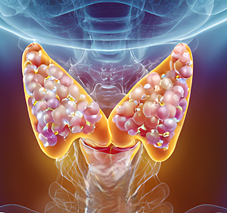 Паратиреоидэктомия