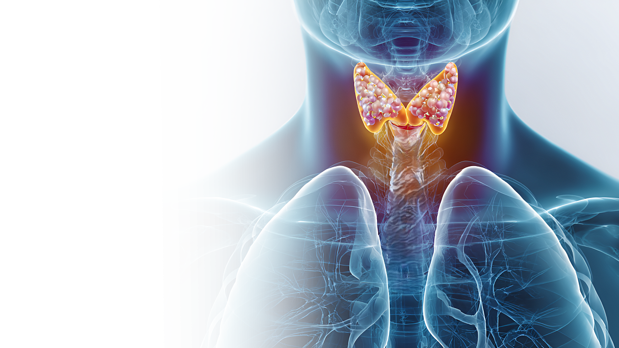 Паратиреоидэктомия