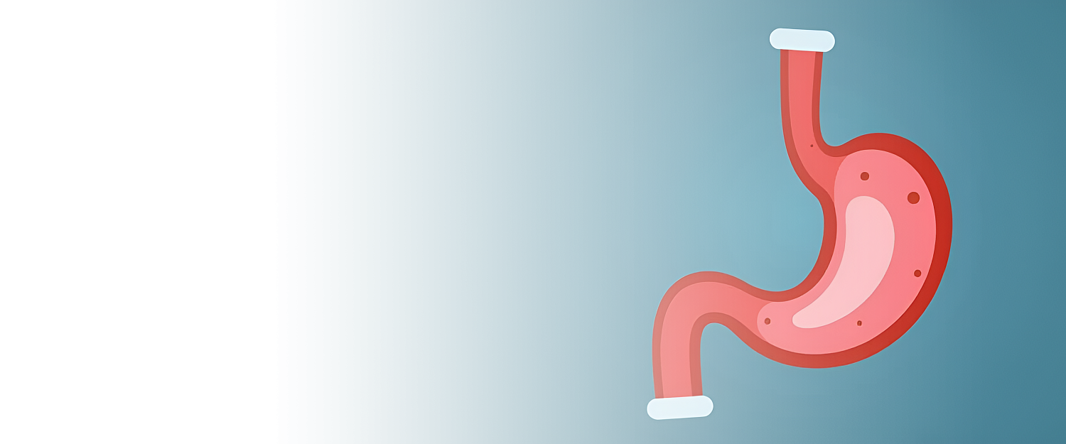 Фундопликация