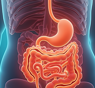 Колостомия