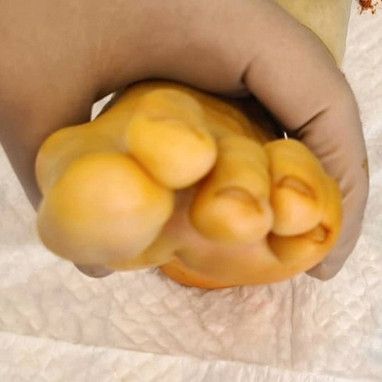 Пучок из пальцев