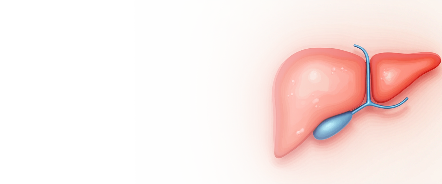 Лапароскопическая фенестрация кист печени