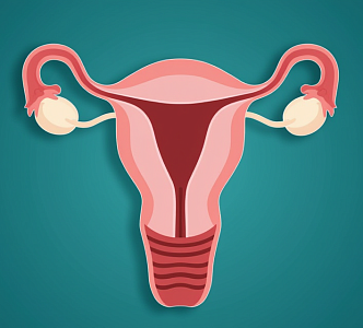 Аднексэктомия