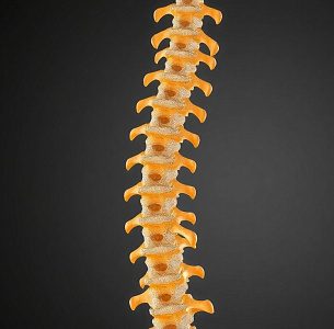 Пластика твердой мозговой оболочки