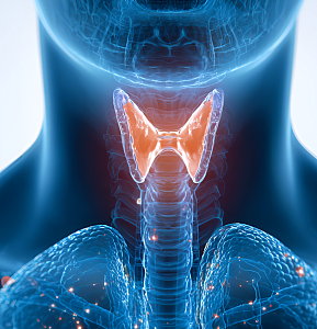 Лимфаденэктомия