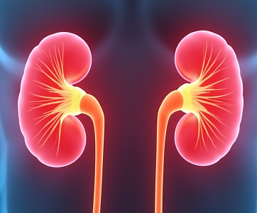 Пункция кисты почки