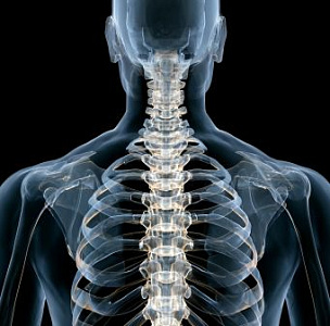 Грудная ламинэктомия