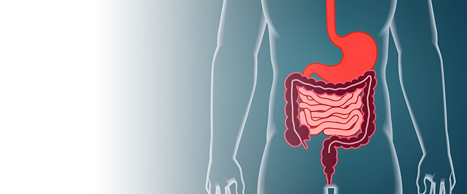 Иссечение дивертикула тонкого кишечника